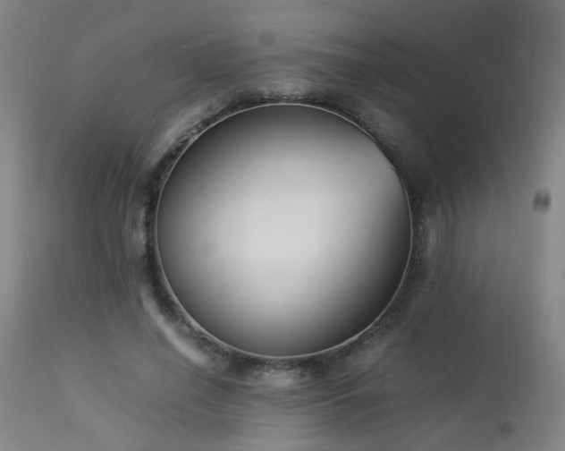 X0000112870638200908211427