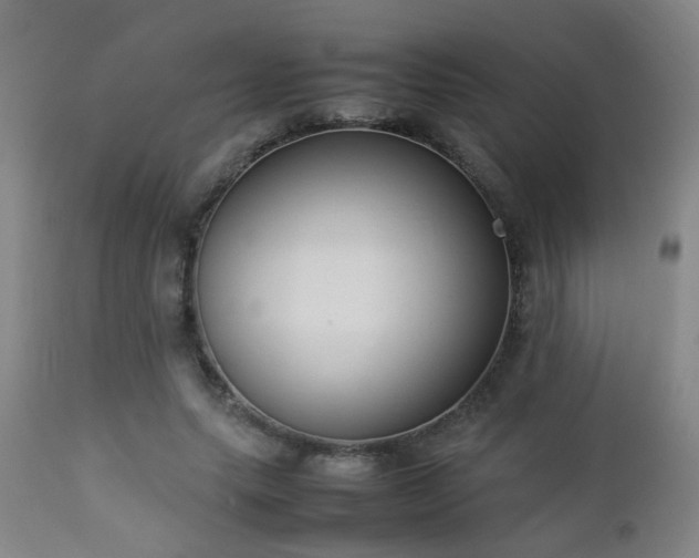 X0000112870639200908211427