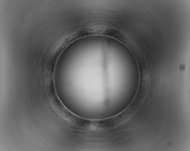 X0000112870641200908211427