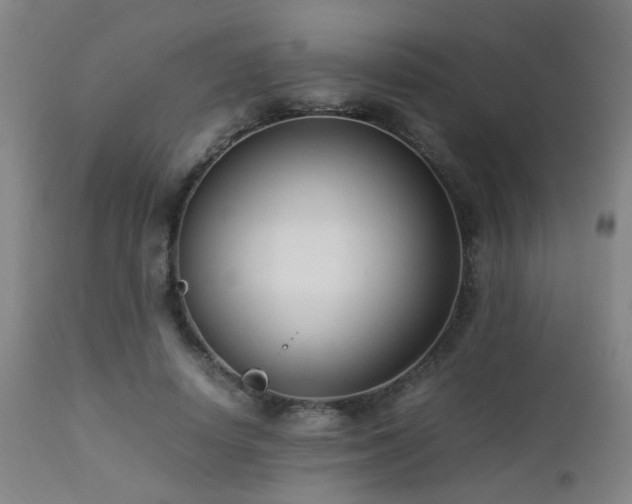 X0000112870642200908211427