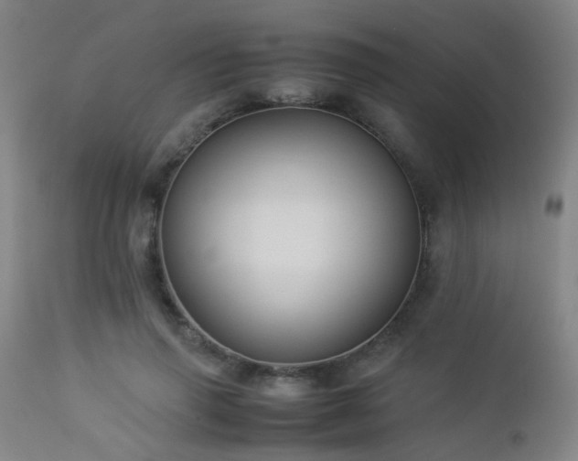 X0000112870645200908211427