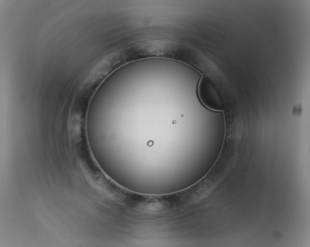 X0000112870646200908211427