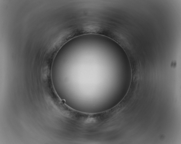 X0000112870647200908211427