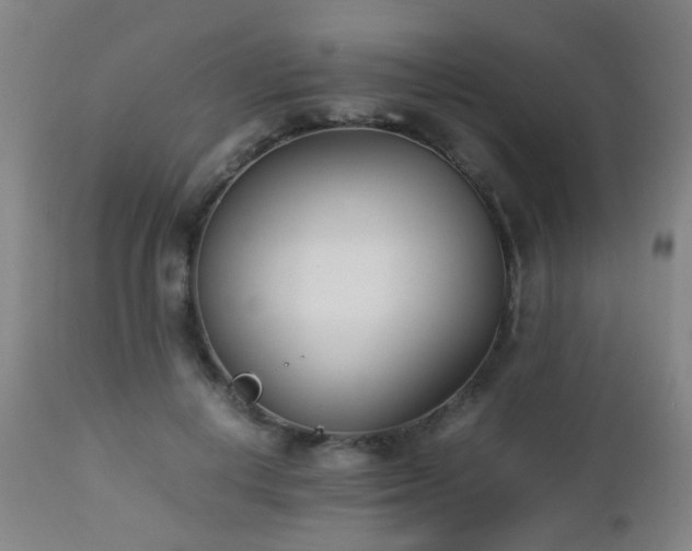 X0000112870648200908211427