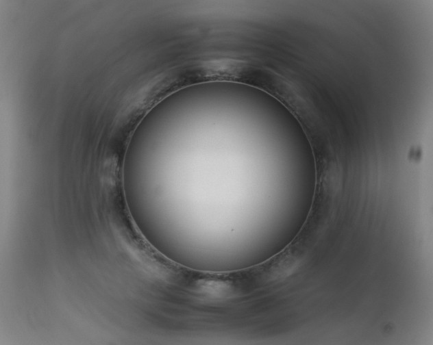 X0000112870649200908211427