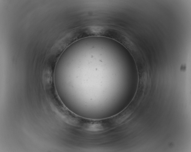 X0000112870651200908211427
