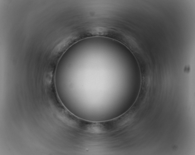 X0000112870652200908211427