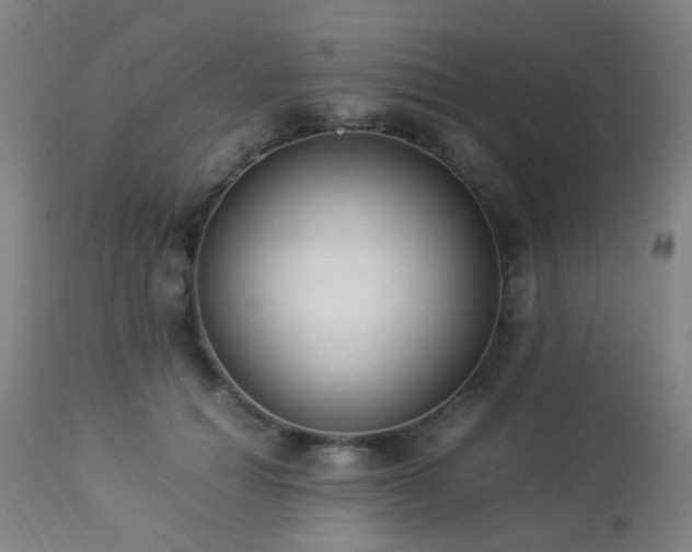 X0000112870654200908211427