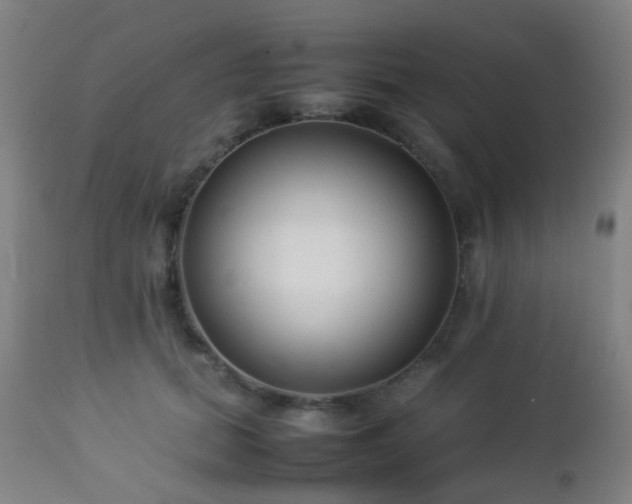 X0000112870655200908211427