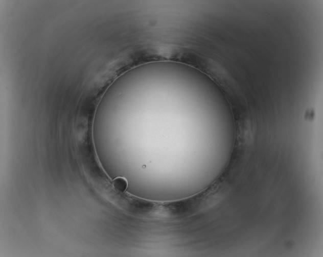 X0000112870656200908211427