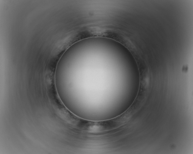 X0000112870658200908211427