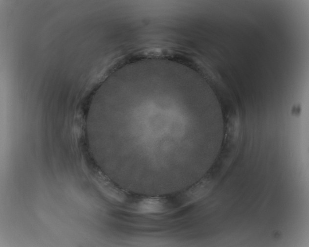 X0000112870659200908211427