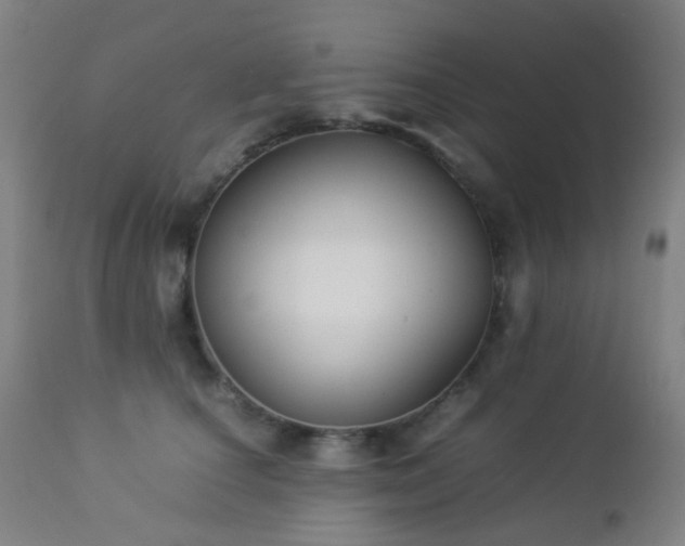 X0000112870660200908211427