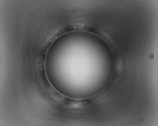 X0000112870661200908211427