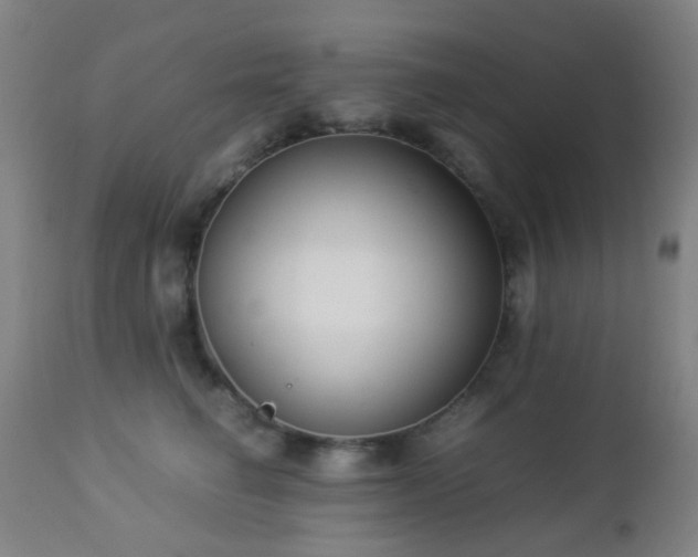 X0000112870662200908211427