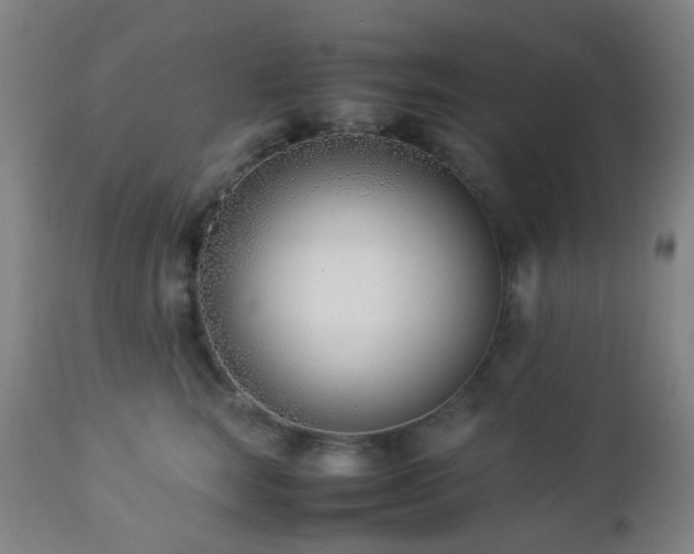 X0000112870663200908211427