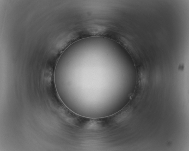 X0000112870664200908211427
