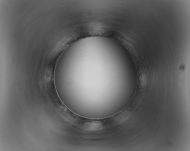 X0000112870665200908211427