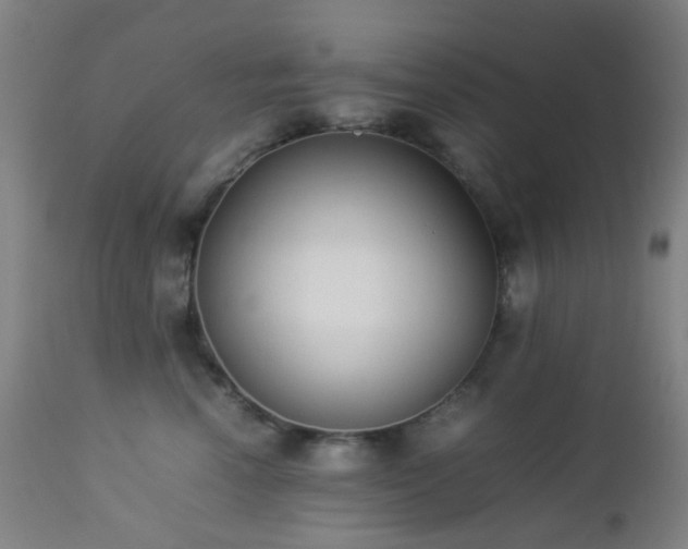 X0000112870666200908211427