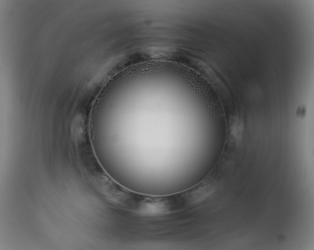 X0000112870667200908211427