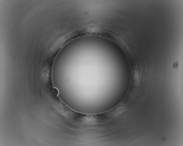 X0000112870668200908211427