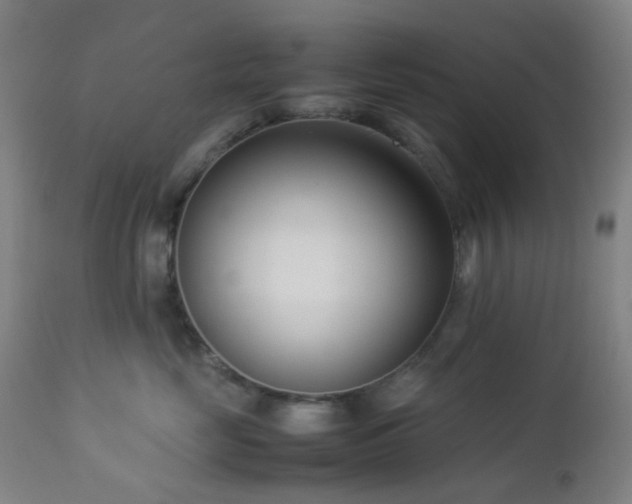 X0000112870669200908211427