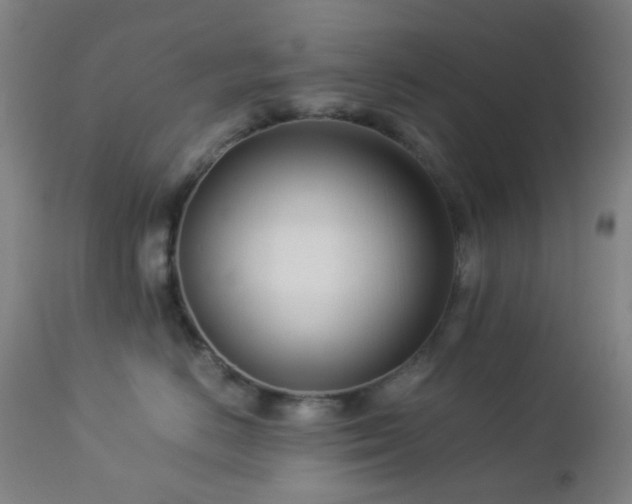 X0000112870670200908211427