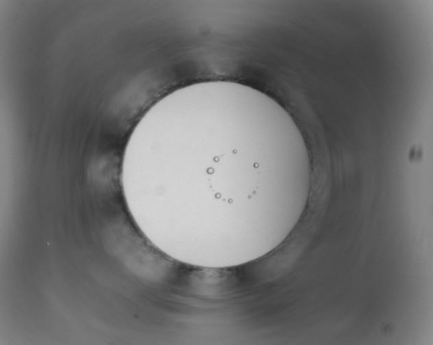 X0000112870672200908211427
