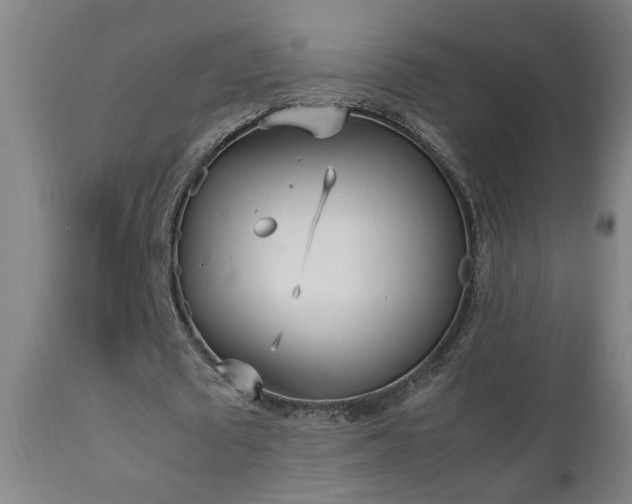 X0000112870673200908211426