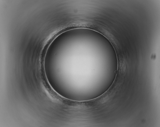 X0000112870674200908211426