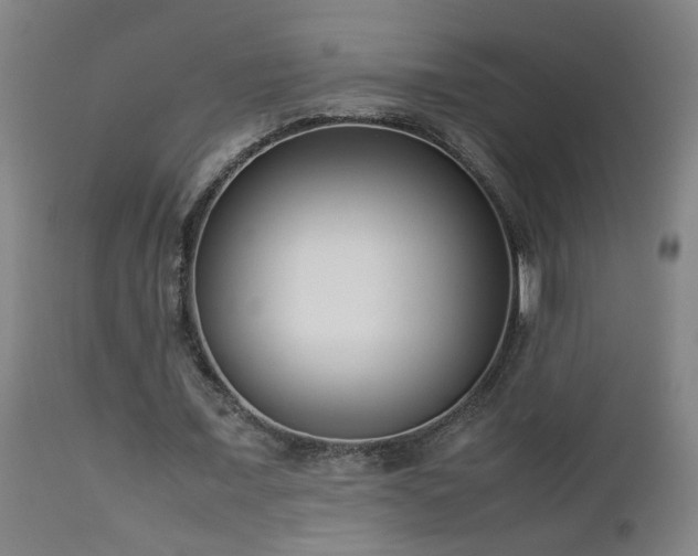 X0000112870675200908211426