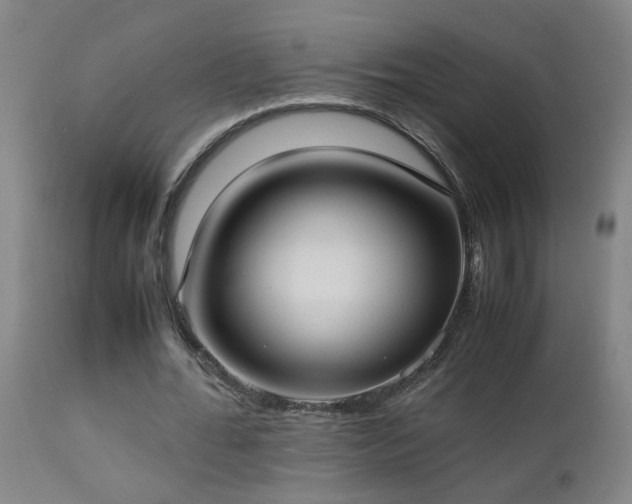 X0000112870676200908211426