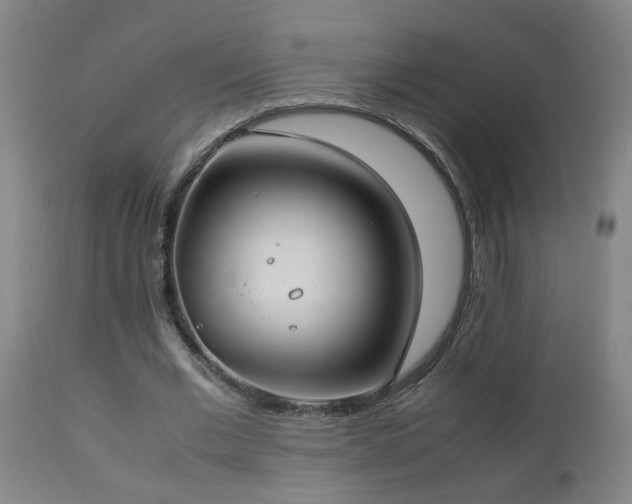 X0000112870677200908211426