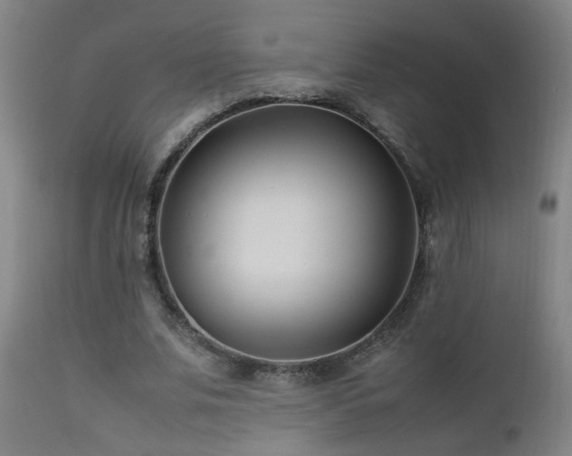 X0000112870679200908211426