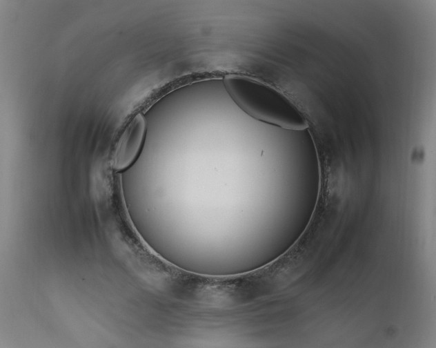 X0000112870680200908211426