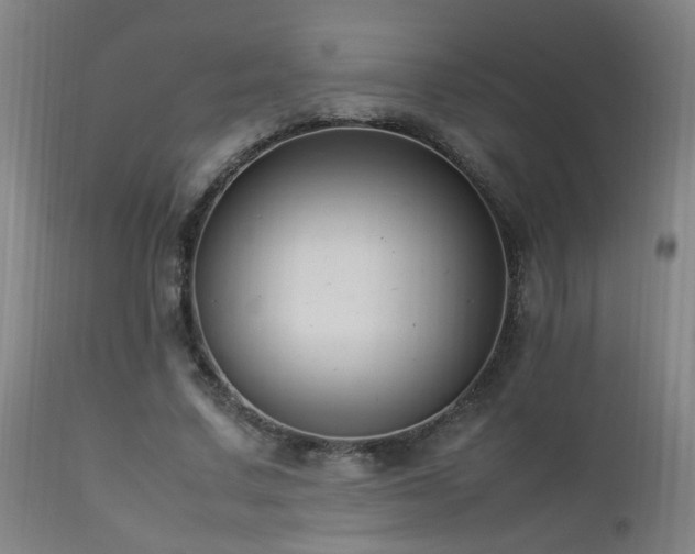 X0000112870683200908211426