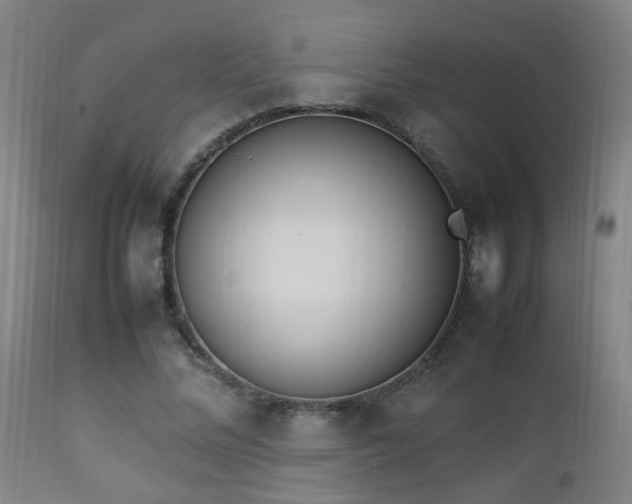 X0000112870684200908211426