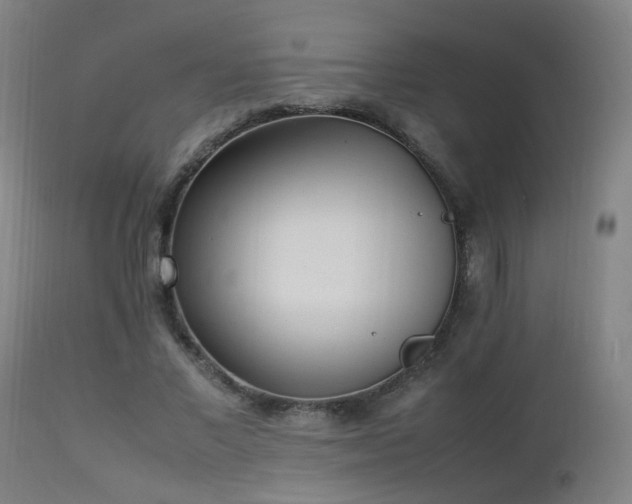 X0000112870685200908211426