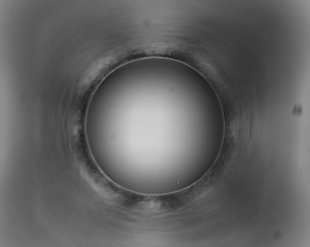 X0000112870687200908211426