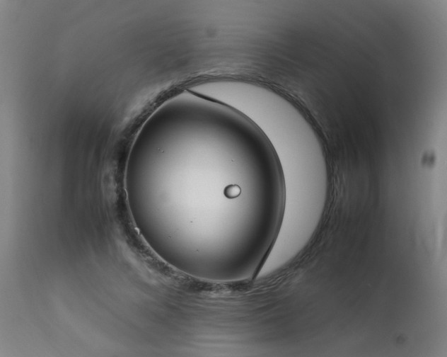 X0000112870688200908211426