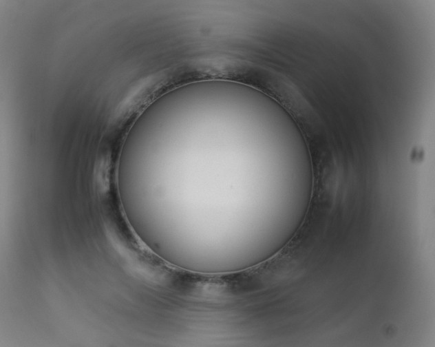 X0000112870694200908211426