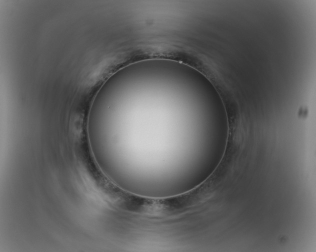 X0000112870695200908211426