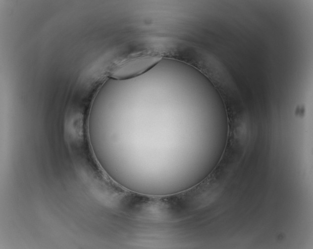 X0000112870696200908211426