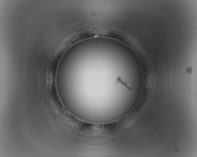 X0000112870697200908211426