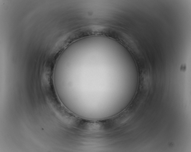 X0000112870698200908211426