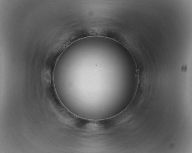 X0000112870699200908211426