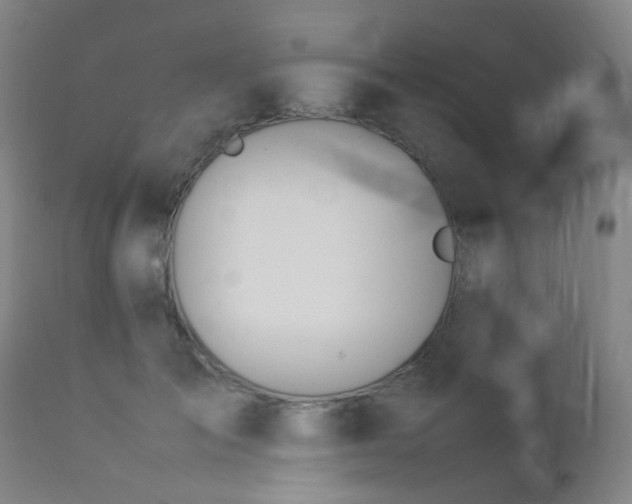 X0000112870701200908211426