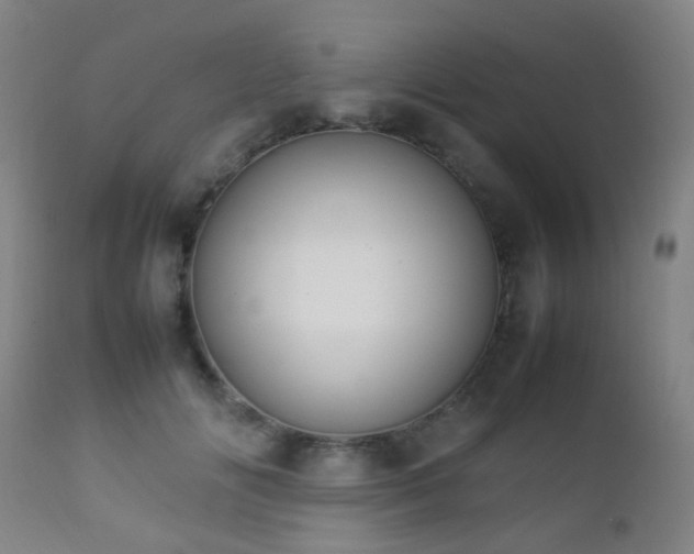 X0000112870702200908211426