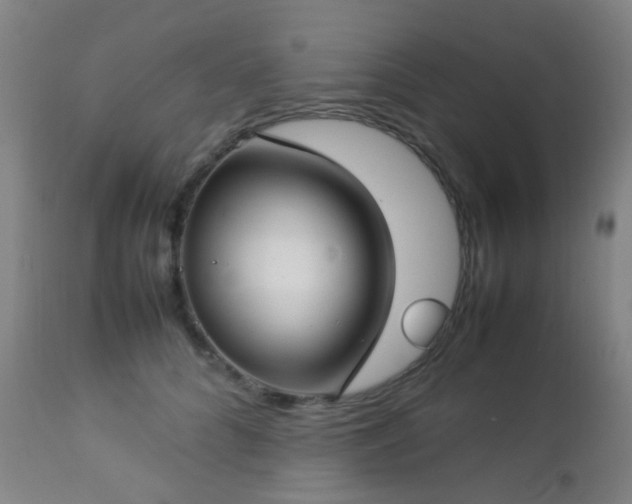 X0000112870704200908211426