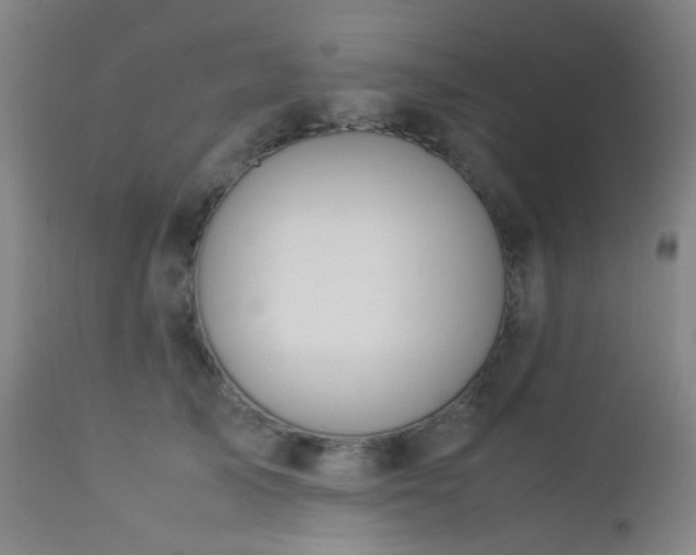 X0000112870705200908211426